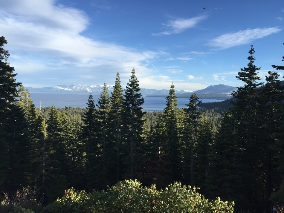 distant view through the trees of Lake Tahoe