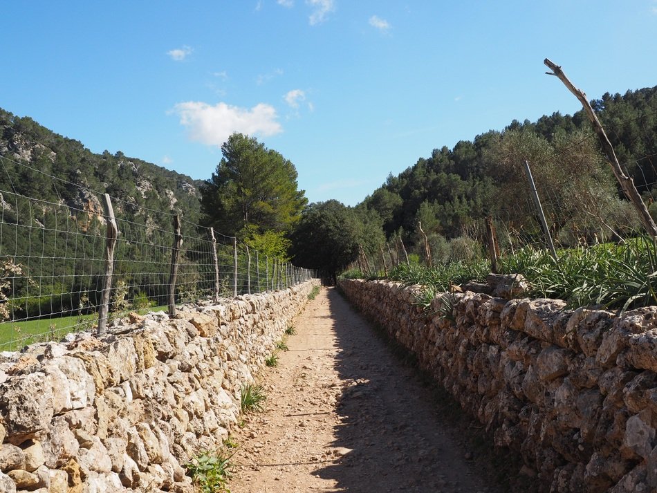 Stone wall in Mallorca