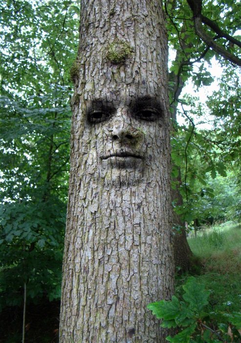 Tree with Man Face scene