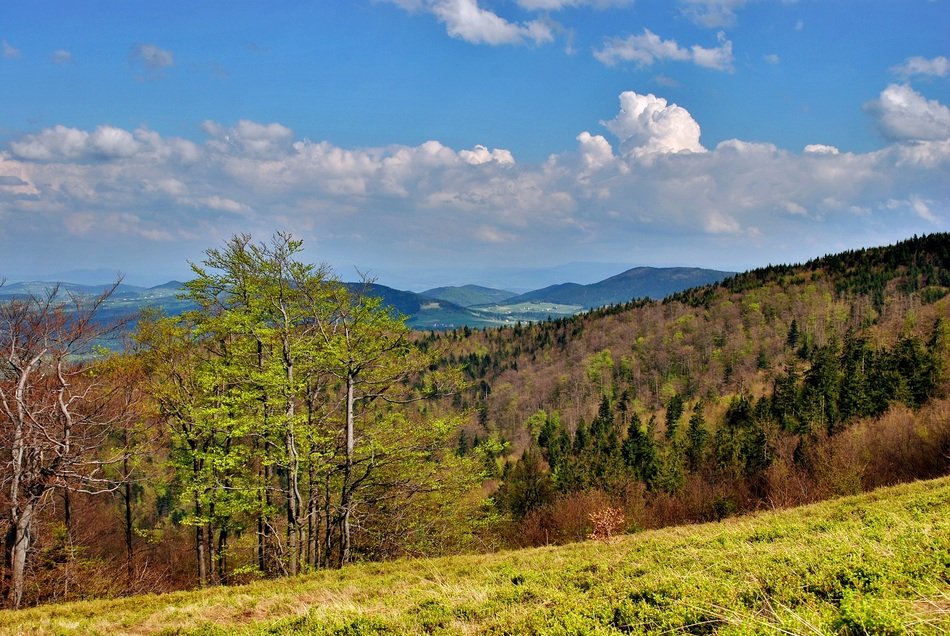 panorama of the Beskid mountain range in autumn