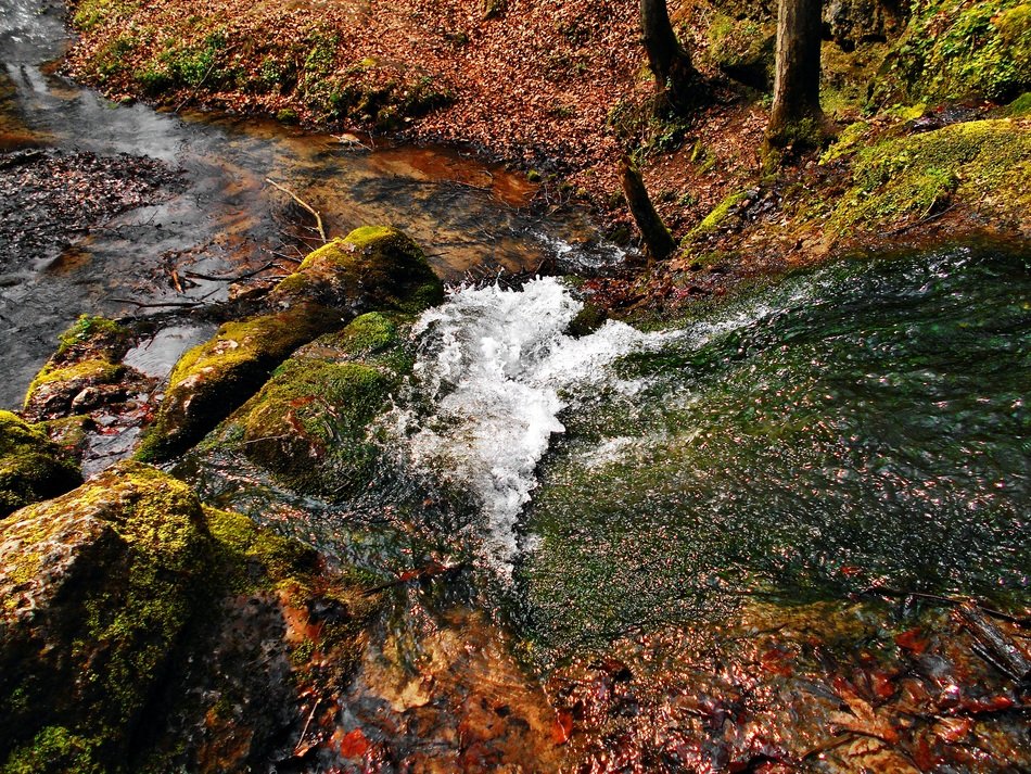 stream in a valley near Krakow