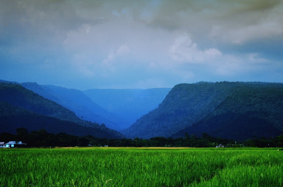 Landscape Sylhet drawing