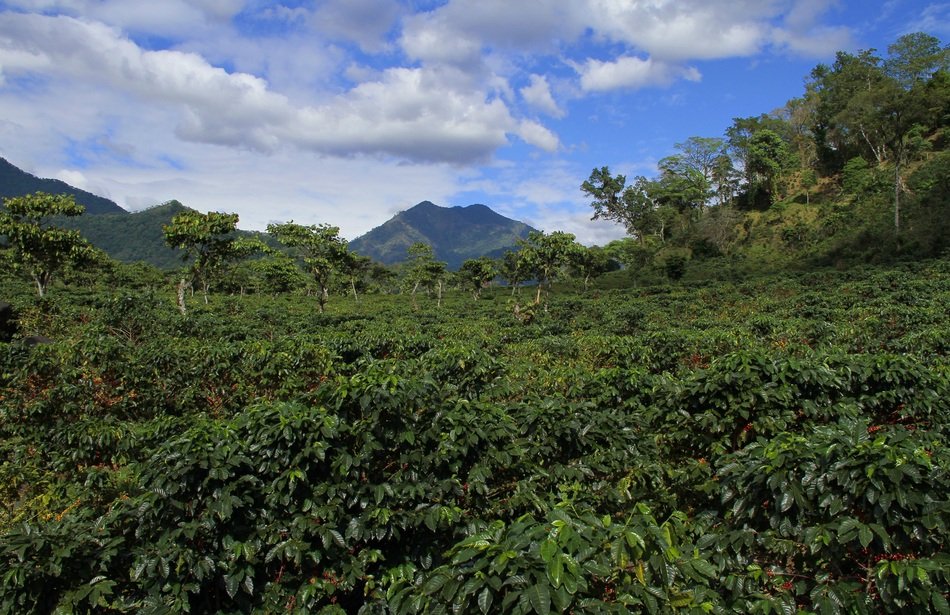 panoramic view of the beautiful nature of guatemala