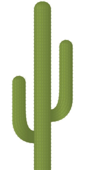 İllustration of Green Cactus