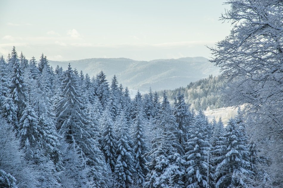 winter in the mountains with snow