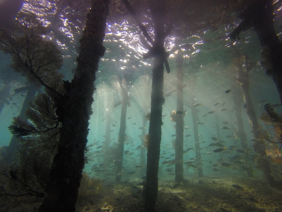 pier under water