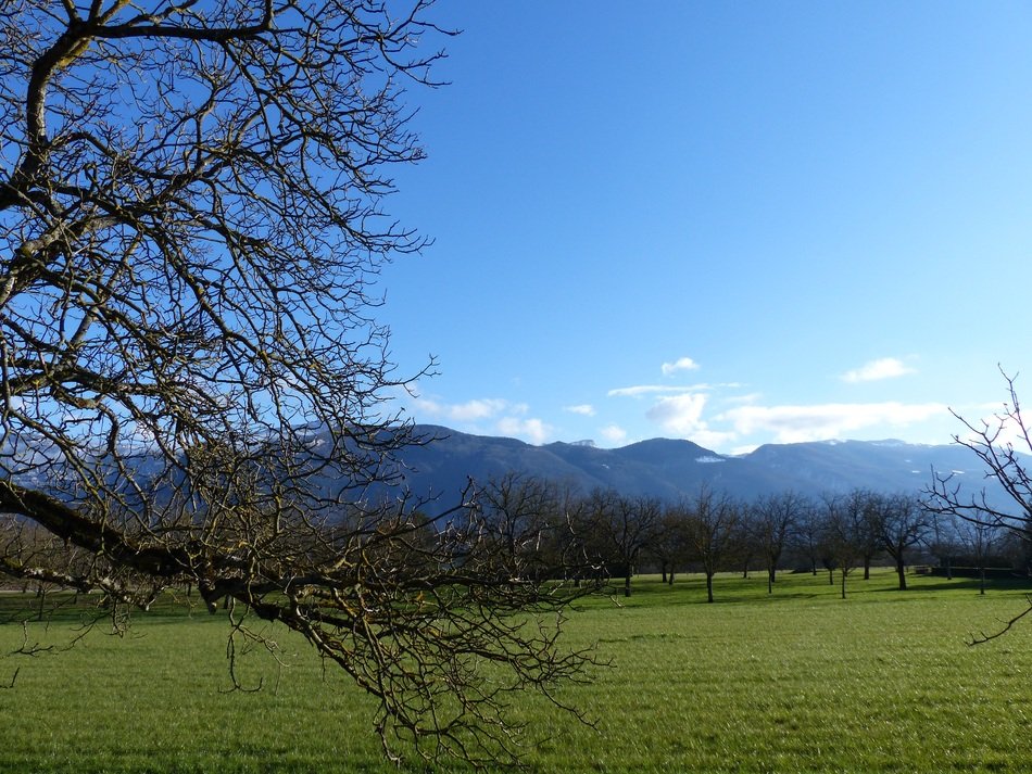 green field among the picturesque landscape