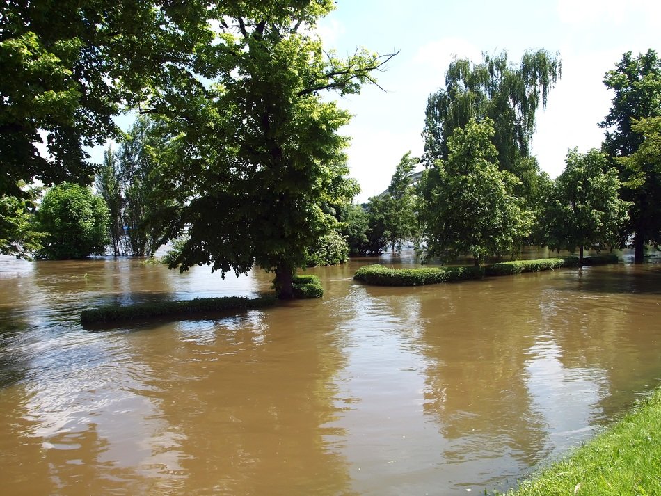 nature under flood