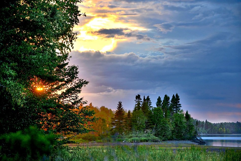 beautiful nature near the lake in the rays of sunset