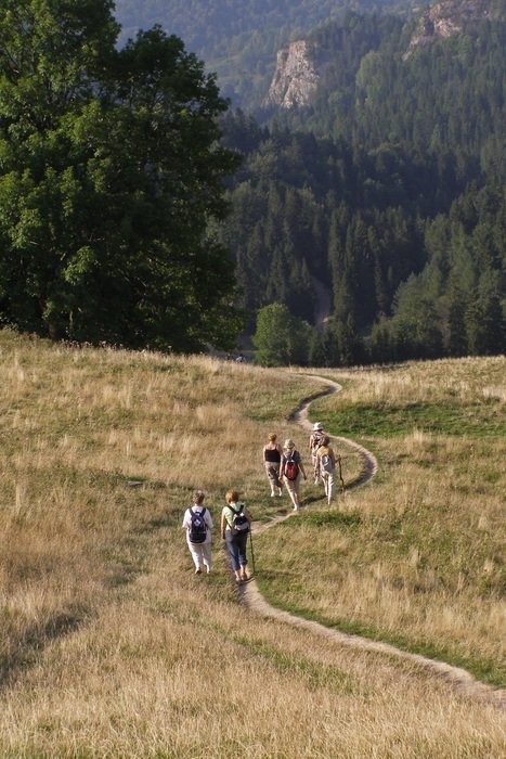 people with backpacks go to the mountains