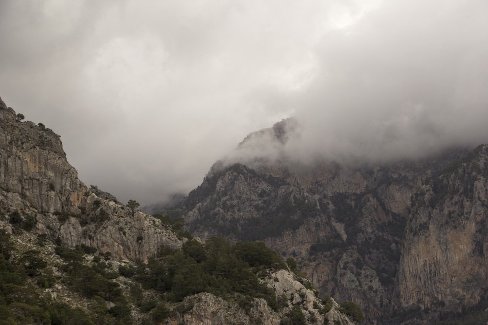 Beautiful landscape with the foggy mountains