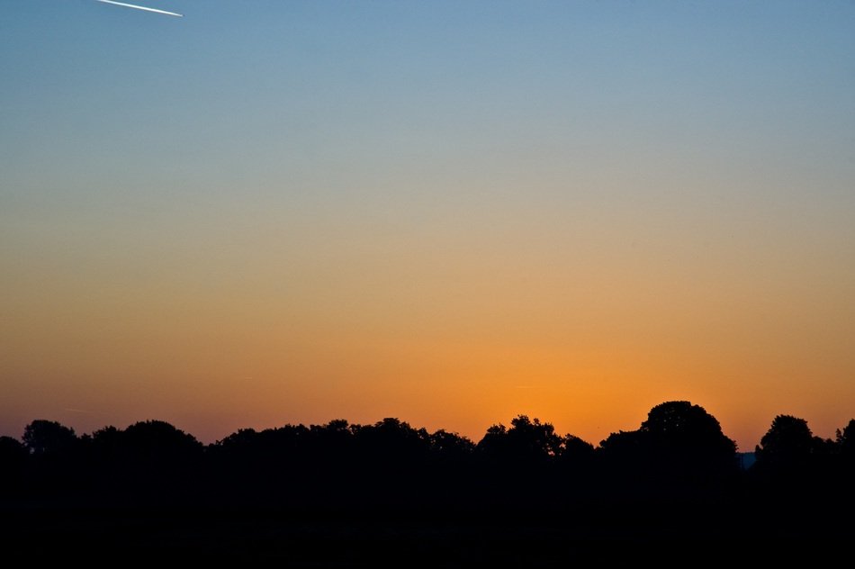 nature in the morning light