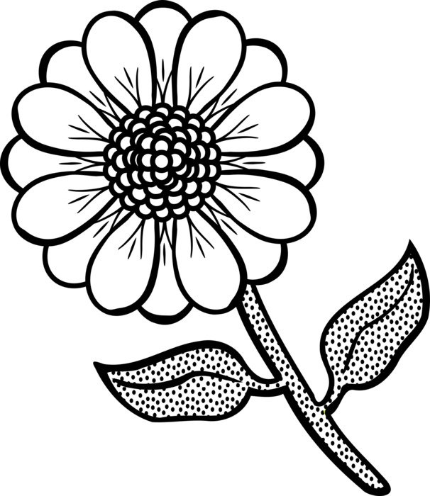 flower like a daisy in a black and white graphic image