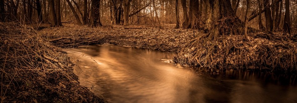 pond in the autumn forest in brown background