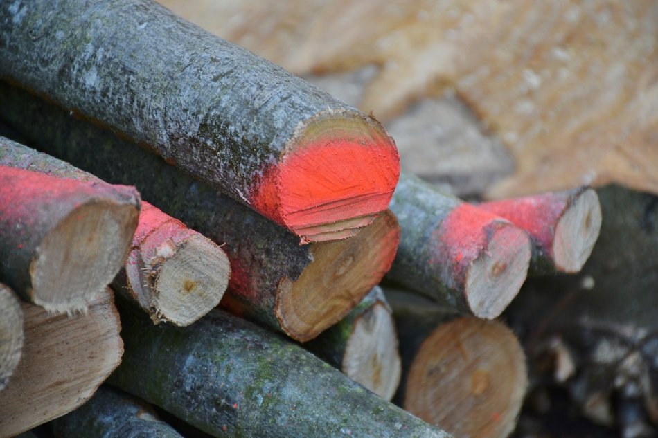 logs with red signs