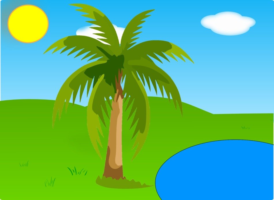 Lake and Palm Tree colourful vector drawing