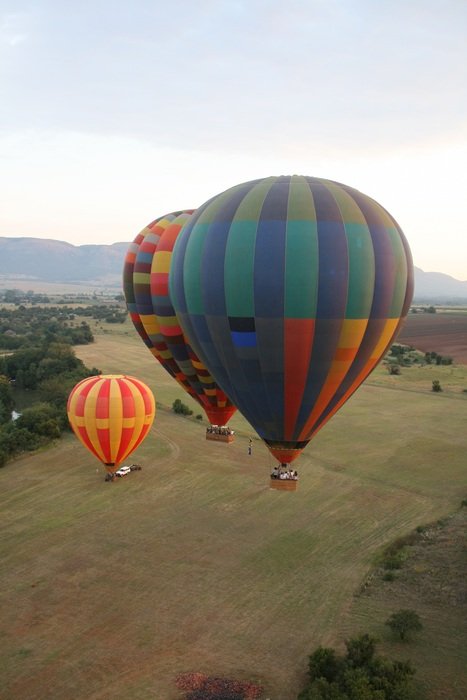 balloons fly over the field