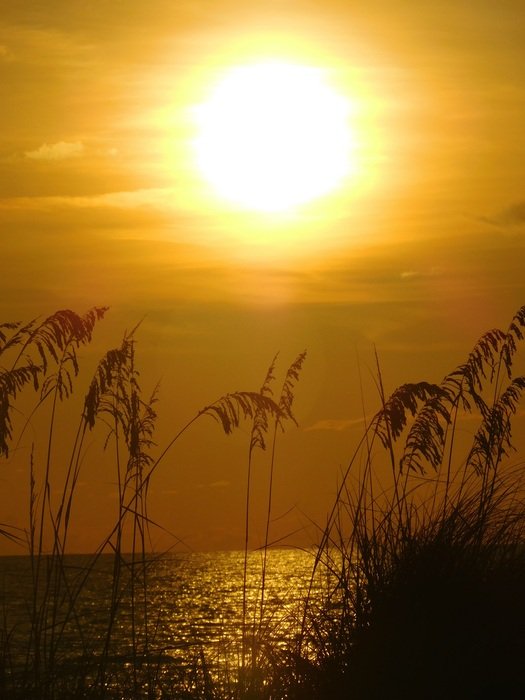 Sunset on the ocean in the evening