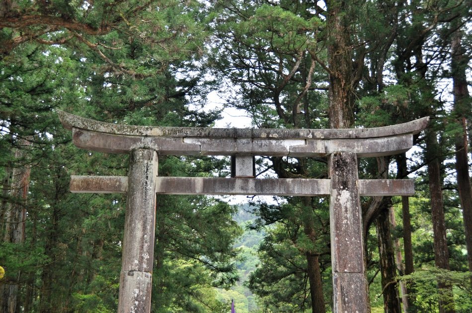 ancient Japanese gate in the forest