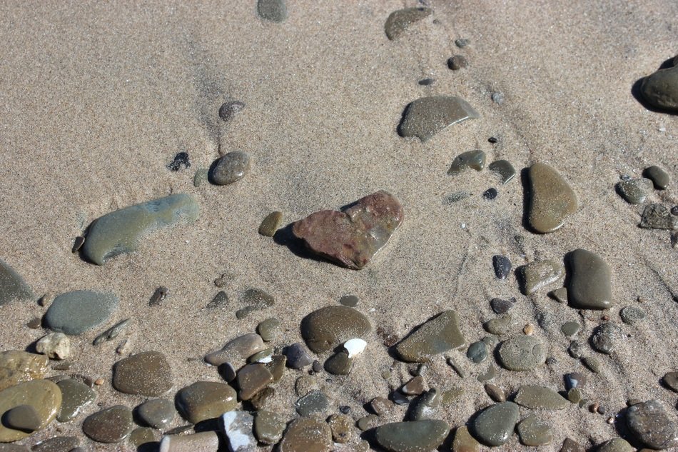 stones in the sand on the beach
