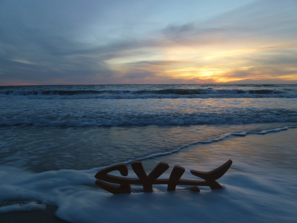 sandy beach near the north sea