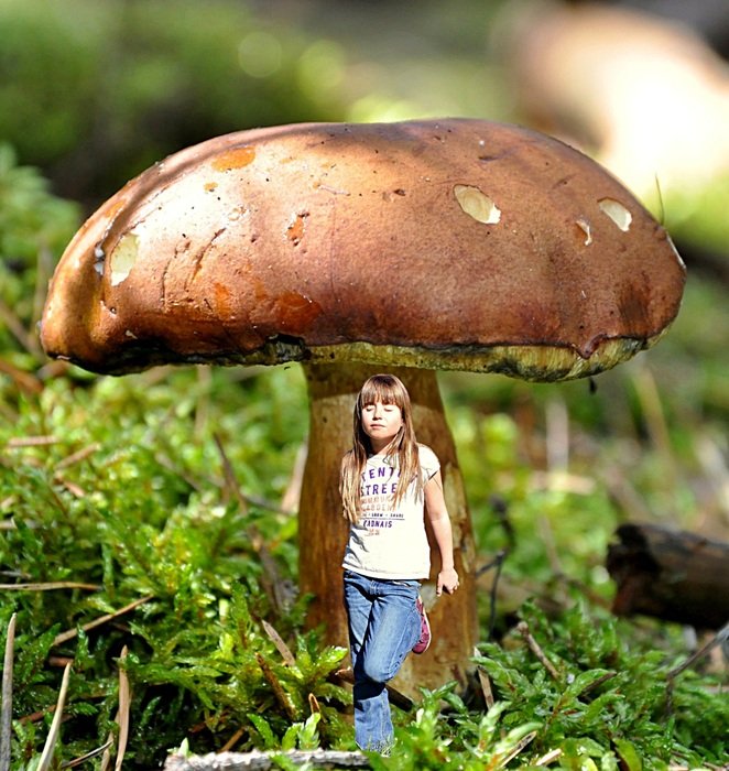 Girl under the mushroom
