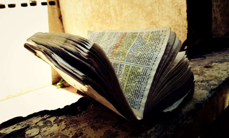 old garden book on windowsill