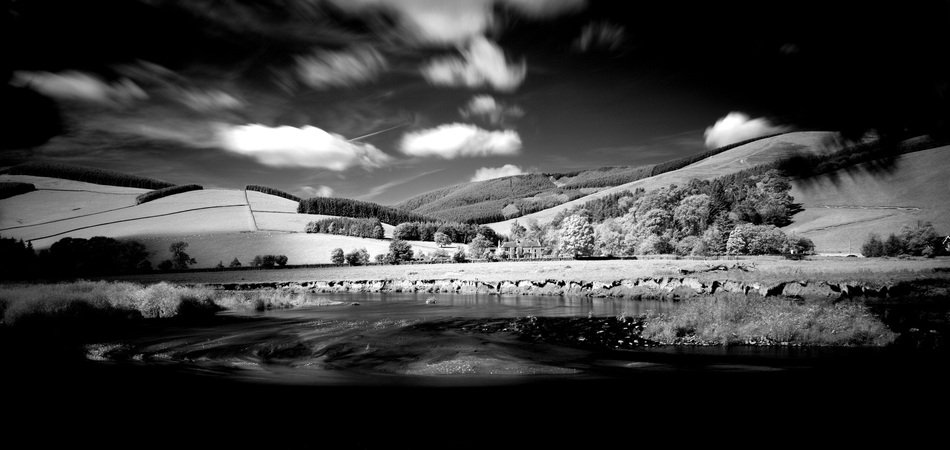landscape of peebles in black and white