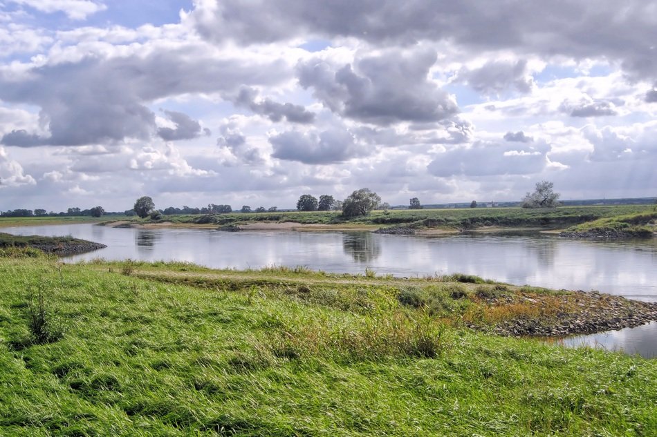green beach near the river