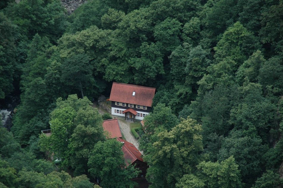 wonderful Roadhouse in the Forest