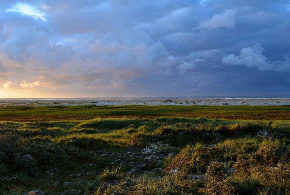 twilight over the green coast