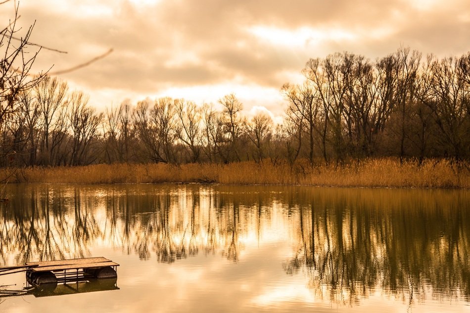 peaceful evening on the river