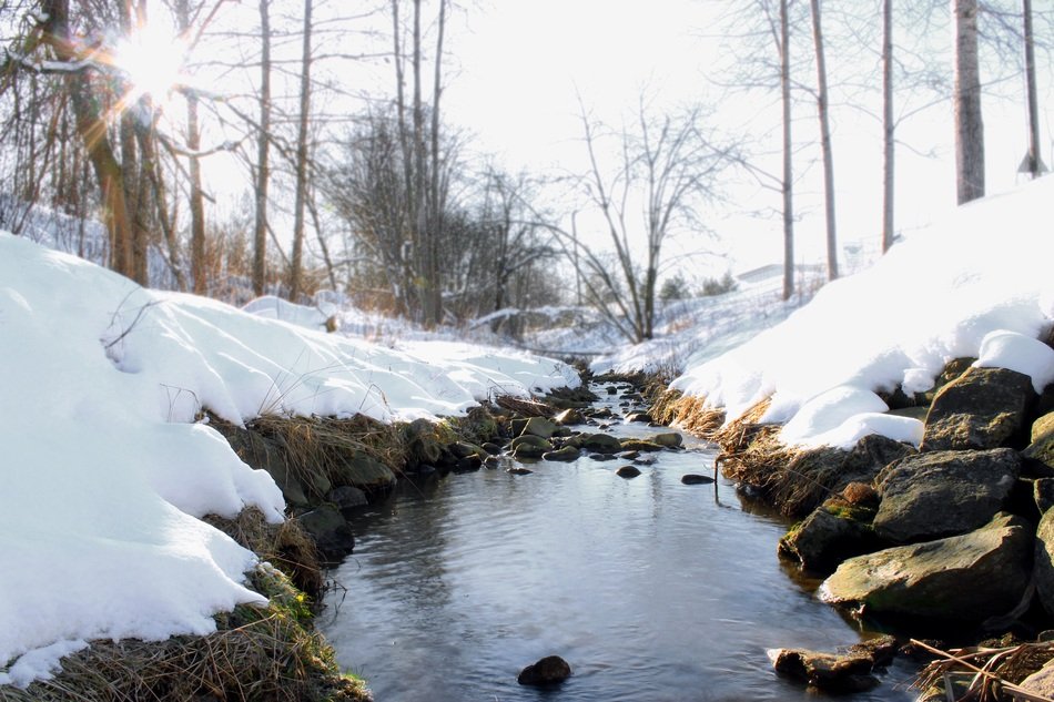 Beautiful stream in the woods among the stone in winter