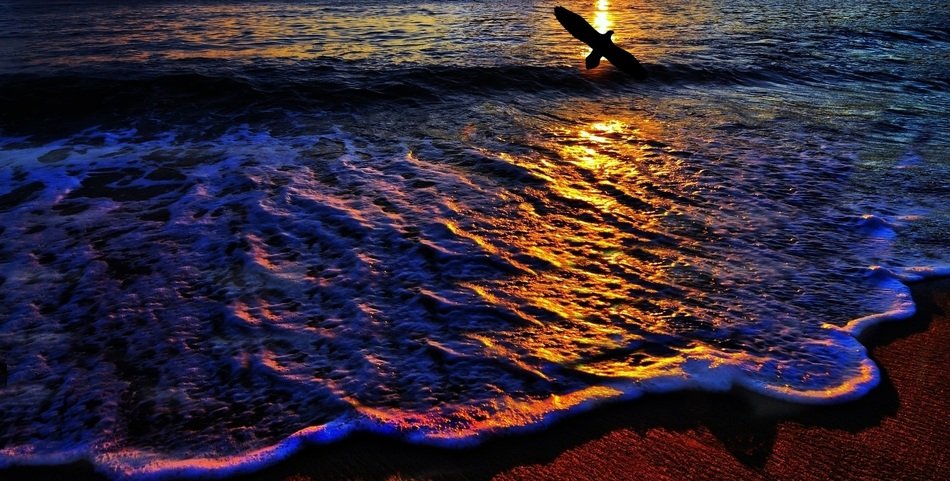 littoral in the glare of a colorful sunset