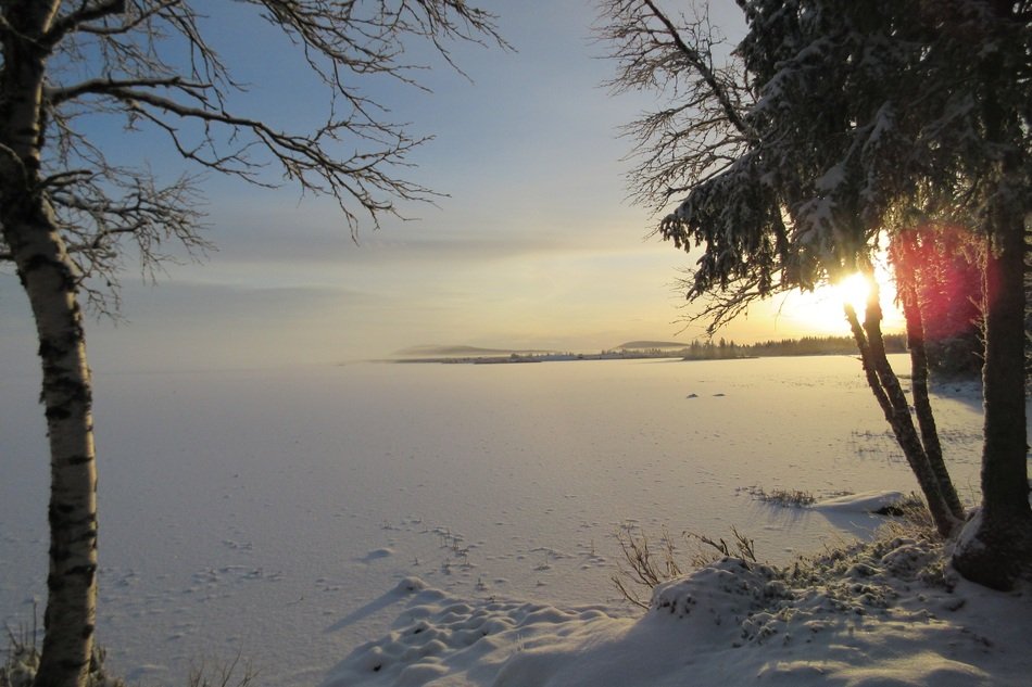 Winter Norrbotten