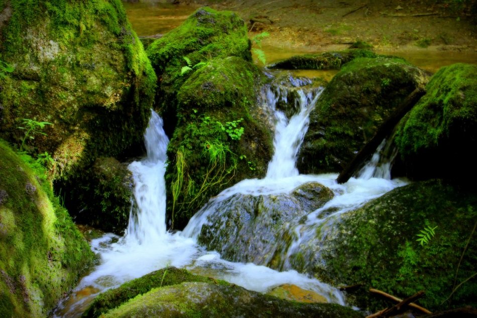 creek among stones in green moss