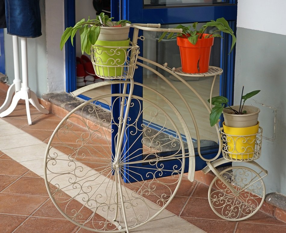 Home decoration as plants and bike