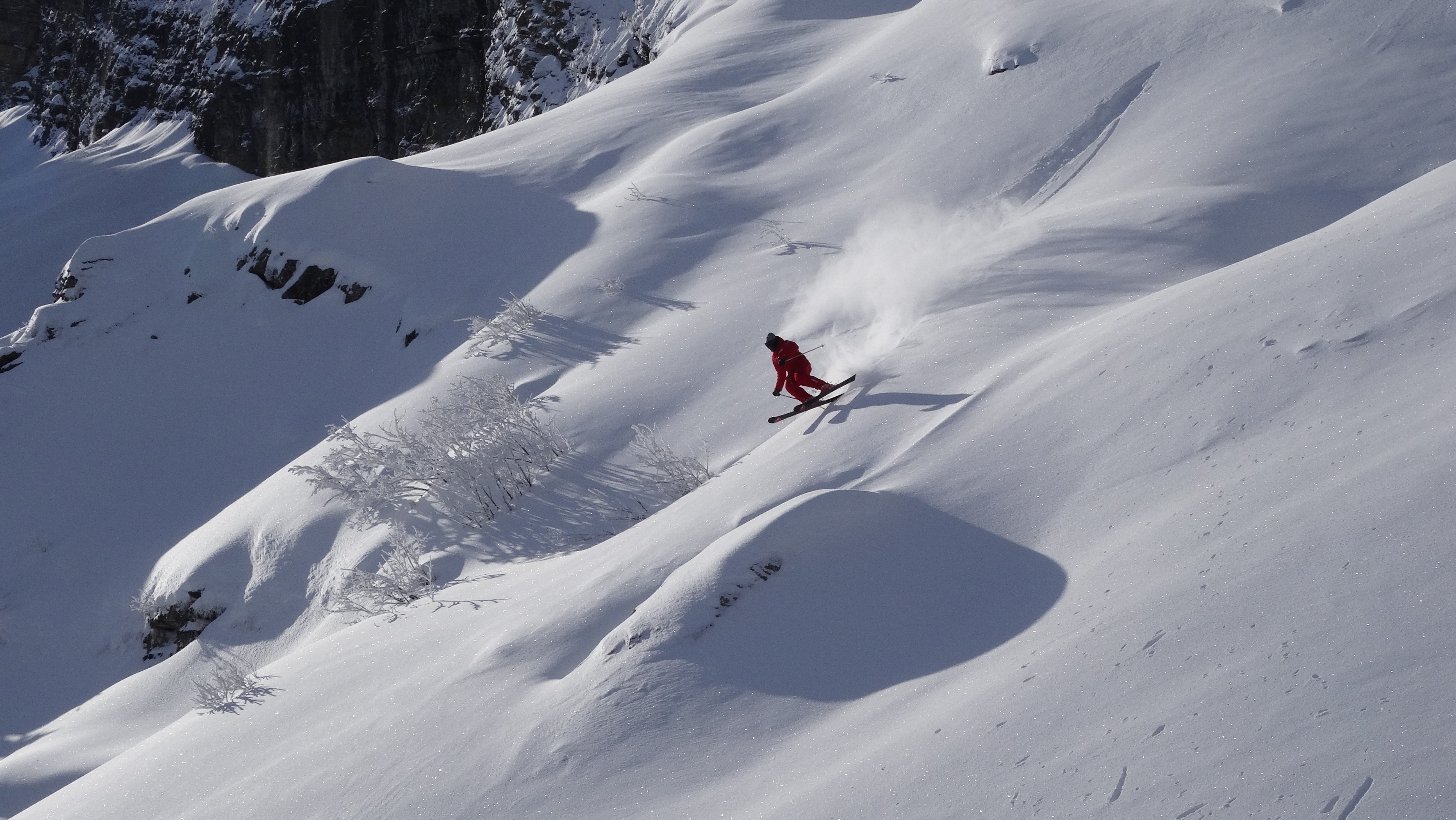 Ostrich Snow Skiing