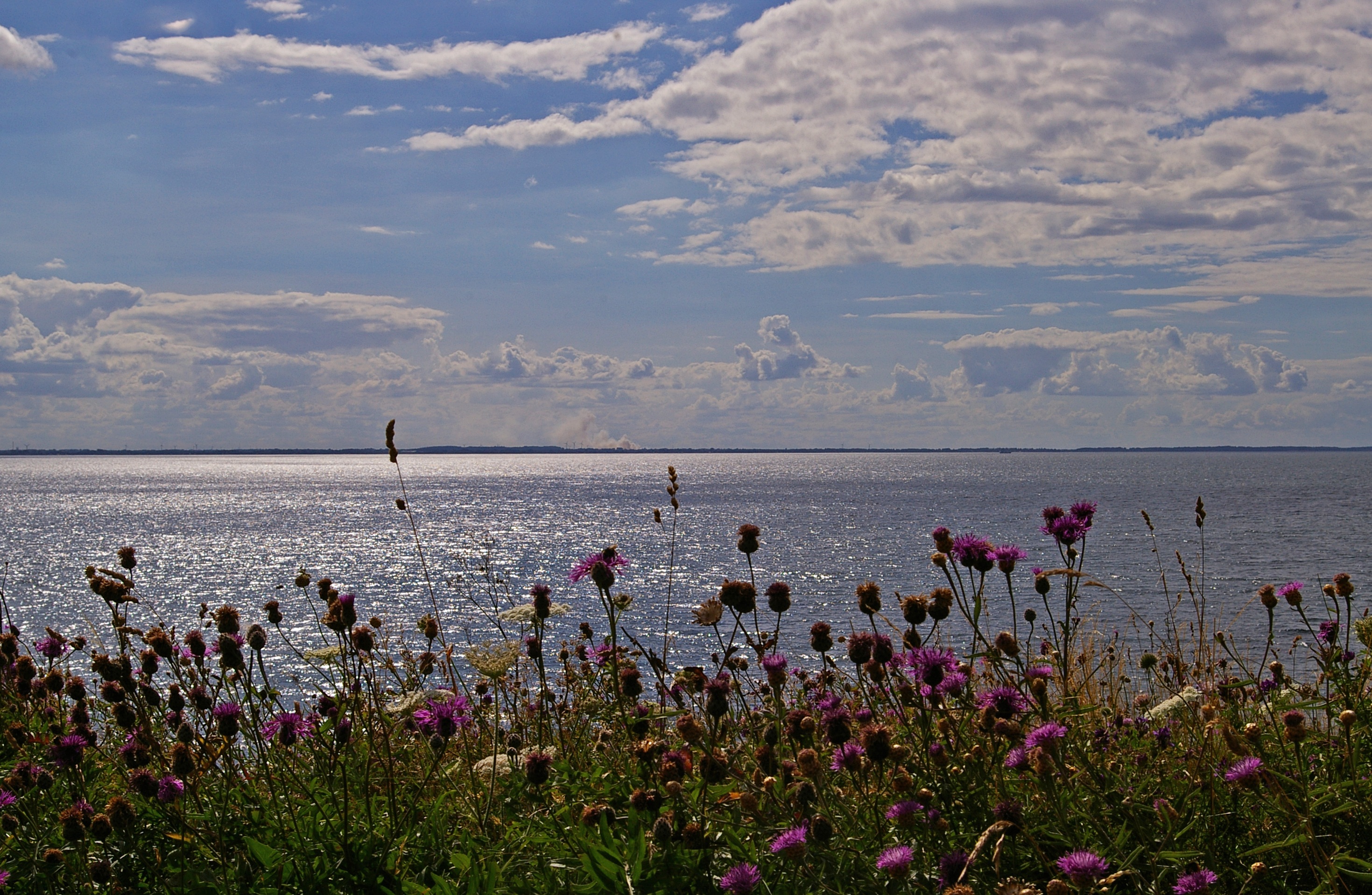 Denmark Coast free image download