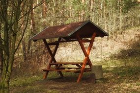 Resting Place Forest Hike Rest