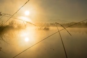 Sunrise Moor Fog