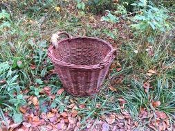 big brown basket with handles on the grass