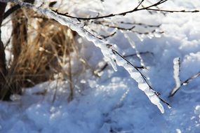 breathtaking winter art