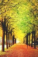 autumn park as an art picture