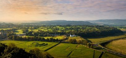green trees among green fields