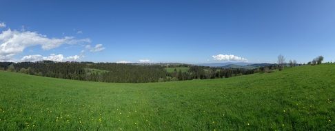 beautiful green meadow in Tatry