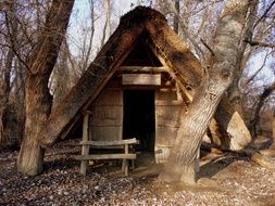 forest hut