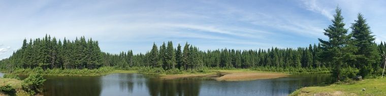 panorama of a quiet lake near the forest