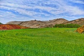 Landscape of farm field