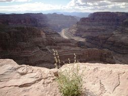 aerial view of the Colorado River in the Grand Canyon